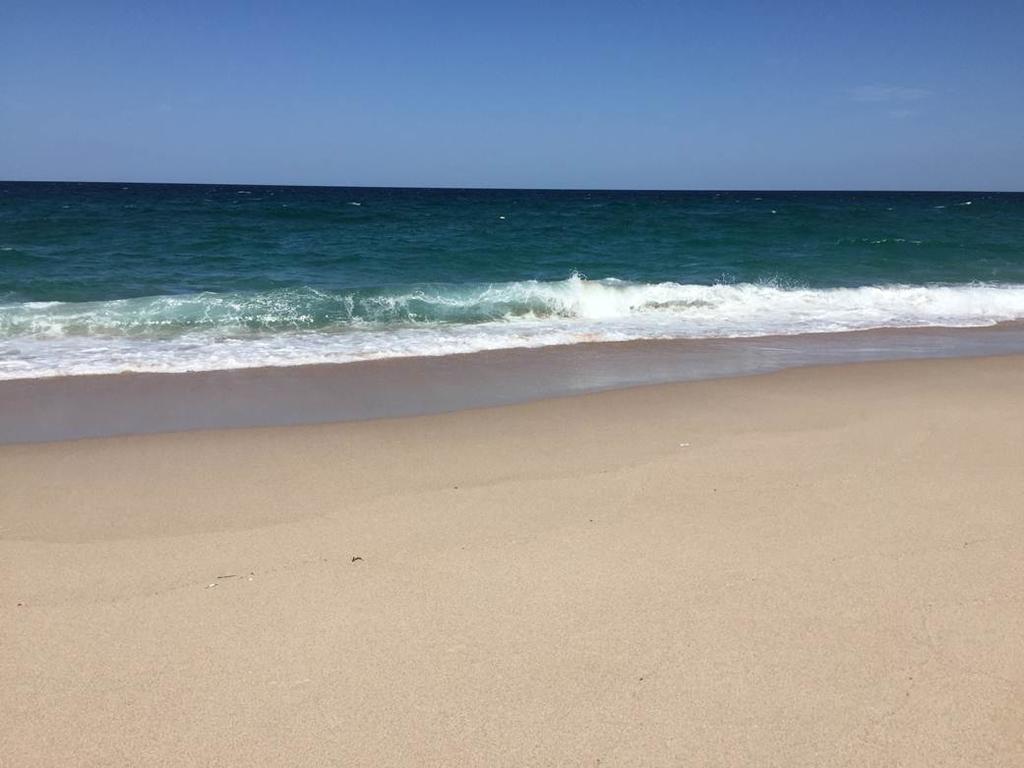 Hotel Ras Al Hadd Beach Holiday Sur Exterior photo
